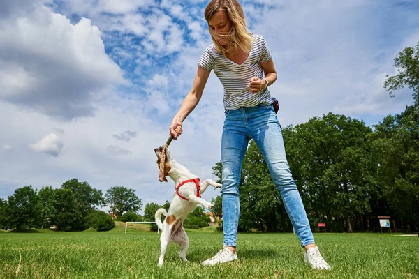 Owner Playing Dog Green Field Woman Training Her Dog Pet — Stockfoto
