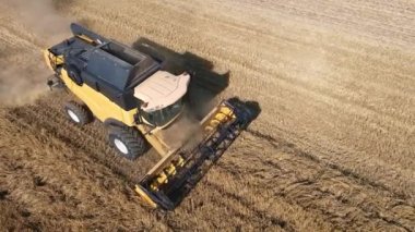 Buğday tarlasını toplayan hasatçıların, tarım alanında çalışan hasat makinelerinin, hasat mevsiminin havadan görünüşü.