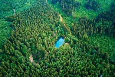 Blue lake in the middle of green forest, aerial view. Wild colorful lake in mountain park in Poland. Beautiful nature landscape clipart
