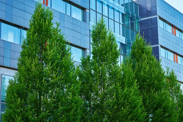 Γυάλινη Πρόσοψη Του Buiding Πράσινα Δέντρα Σύγχρονο Κτίριο Γραφείων Στην — Φωτογραφία Αρχείου