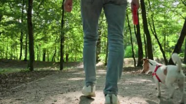 Parkta köpekle yürüyen yeşil çimenli bir adam, doğada evcil hayvanla rahatlama.