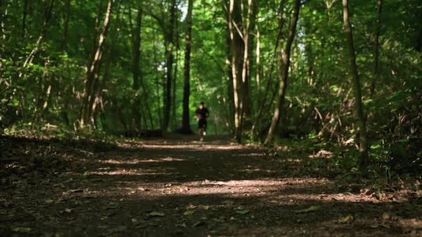 Männliche Läufer Joggen Park Sport Tragende Männer Die Freien Laufen — Stockvideo