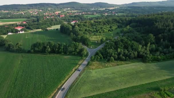 Aerial View Cars Moving Asphalt Curvy Road Mountains Green Fields — Video