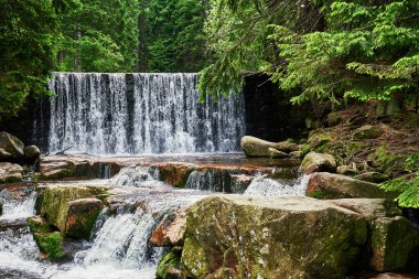 Polonya 'daki Karpacz dağlarındaki Lomnica nehri üzerindeki şelale, güzel doğa manzarası.