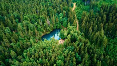 Yeşil ormanın ortasındaki mavi göl, hava manzaralı. Polonya 'daki dağ parkında vahşi renkli bir göl. Güzel doğa manzarası