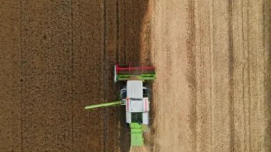 Buğday tarlasını toplayan hasatçının hava görüntüsü, tarım alanında çalışan hasat makinesi, hasat mevsimi.