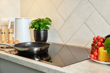 Modern mutfak aletleri, çelik tavalı indüksiyon sobası.