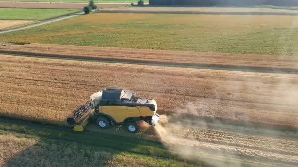 Harvest Season Aerial View Harvesting Combine Working Agricultural Field — Stock Video