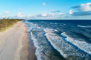 Drone aerial view of sea seashore landscape with sand beach without people, Baltic sea coastline in Poland