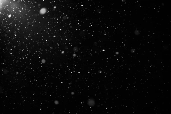 Snowflakes Falling Black Background Heavy Snow Flakes Isolated Flying Rain — Stock Photo, Image