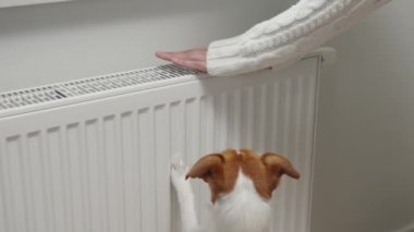Woman adjusting temperature on heating radiator, Energy crisis concept in Europe, Rising costs in private households for gas bill due to inflation and war
