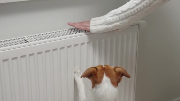 Woman Adjusting Temperature Heating Radiator Energy Crisis Concept Europe Rising — Stock videók