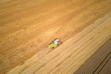 Harvest season, Aerial view of harvesting combine working in agricultural field