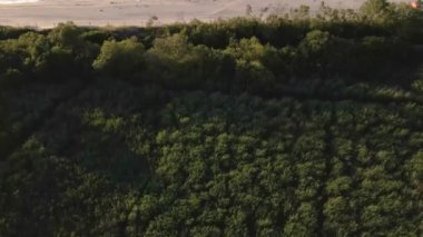 Drone aerial view of sea seashore landscape with sand beach without people, Baltic sea coastline in Poland