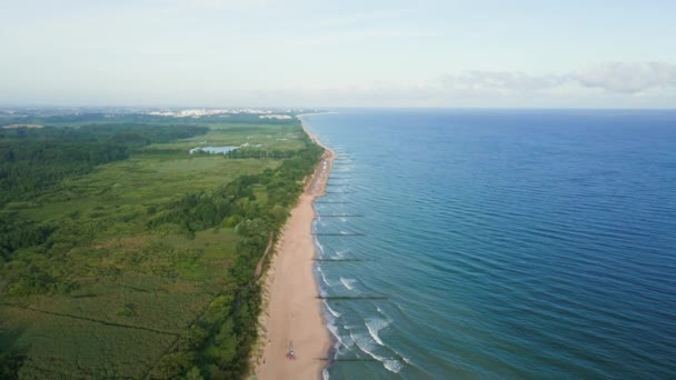 Drone Aerial View Sea Seashore Landscape Sand Beach People Baltic — Stock videók