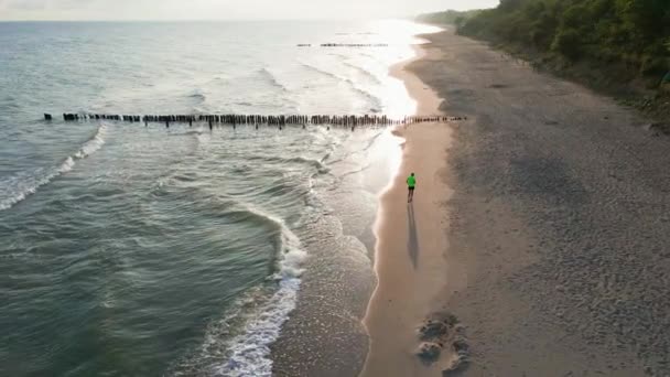Aerial View Man Jogging Sea Beach Morning Athlete Training Running — Stockvideo