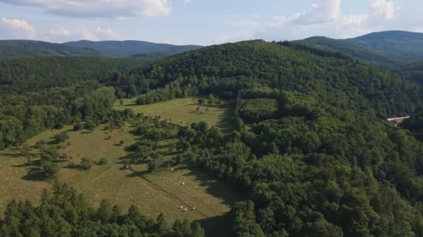 Aerial View Countryside Area Vith Agricultural Fields Mountains Peaks Background — Stock video