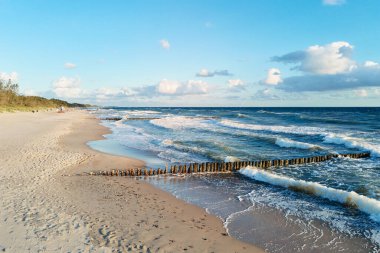 Drone aerial view of sea seashore landscape with sand beach without people, Baltic sea coastline in Poland
