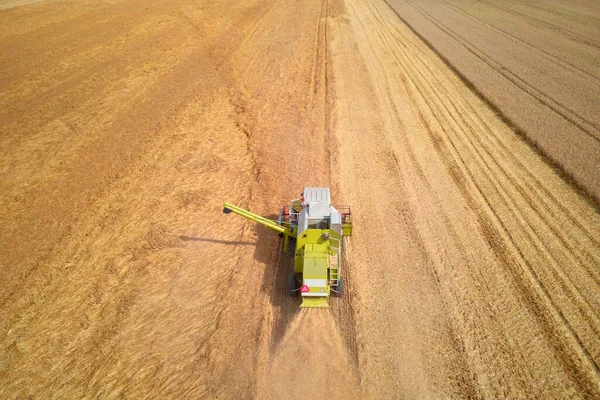 Harvest Season Aerial View Harvesting Combine Working Agricultural Field — Stockfoto