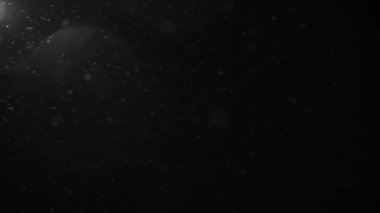 Snowflakes falling down on black background, heavy snow flakes isolated, Flying rain, overlay effect for composition