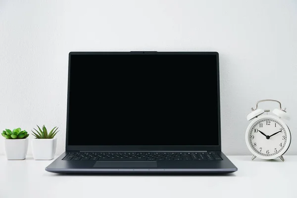 Office or home workplace interior on white background. Comfortable office work space with laptop, alarm clock and plants on table.