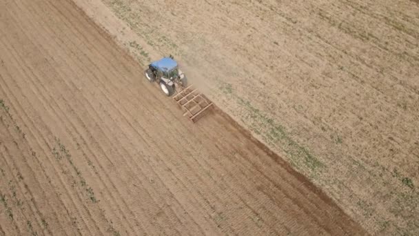 Drohne Fliegt Über Landwirtschaftlichen Traktor Der Auf Landwirtschaftlichem Feld Arbeitet — Stockvideo