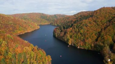 Orman ve nehirle kaplı dağlarla dolu muhteşem sonbahar manzarası. Sonbahar mevsiminde güzel doğa manzarası