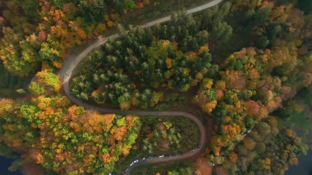 Bovenaanzicht Vanuit Lucht Bochtige Weg Door Het Herfstbos Bergen Natuurlandschap — Stockvideo