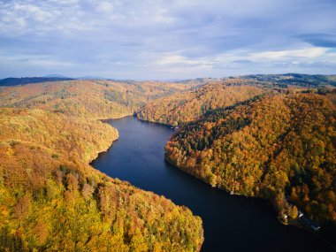 Orman ve nehirle kaplı dağlarla dolu muhteşem sonbahar manzarası. Sonbahar mevsiminde güzel doğa manzarası