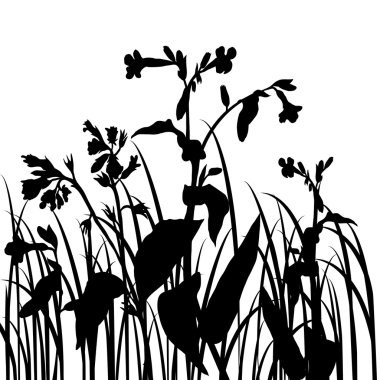 çiçek ve çim Silhouettes