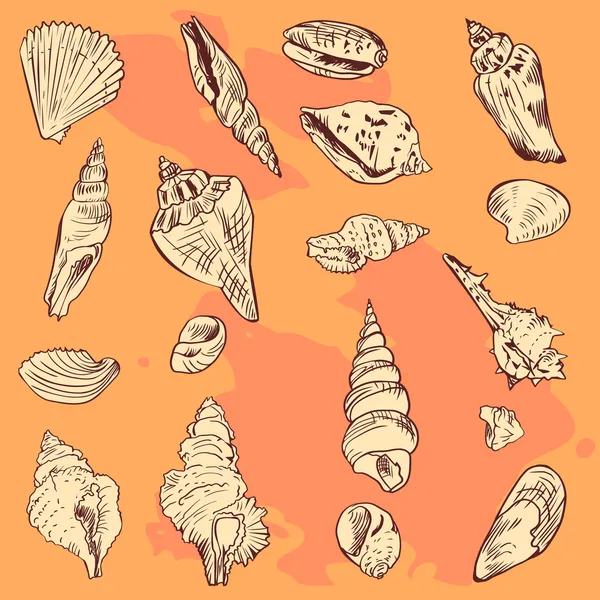 Set of linear drawing shells on orange background — Stock Vector