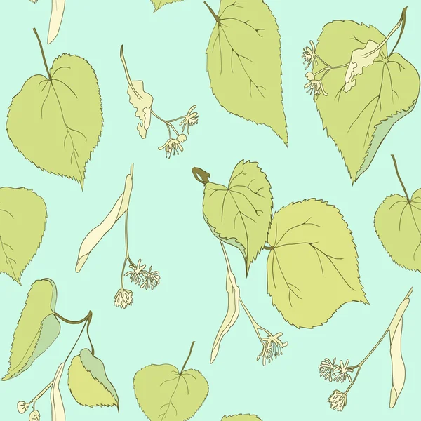 Рисунок ветви липы с листьями, цветами и семенами — стоковый вектор