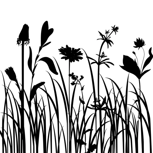 Siluetas de flores y hierba — Archivo Imágenes Vectoriales