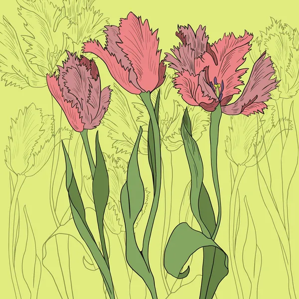 Ramo de tulipanes — Vector de stock