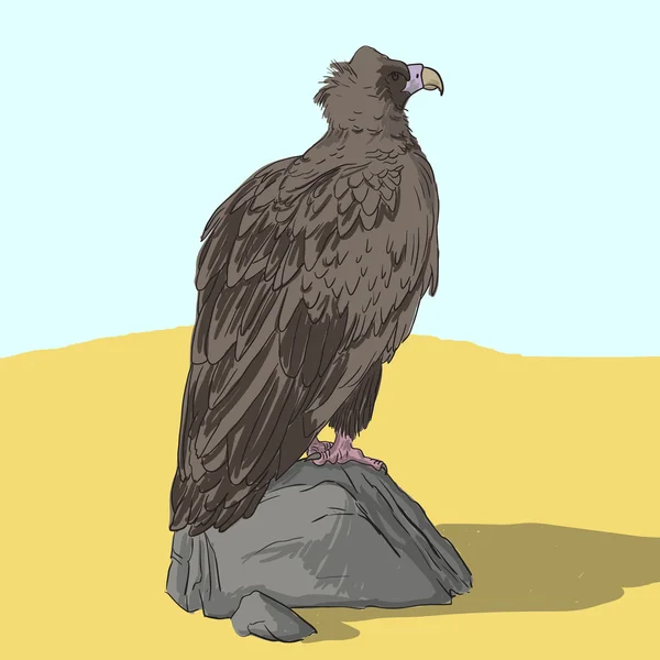 Cinereous 兀鹫 — 图库矢量图片