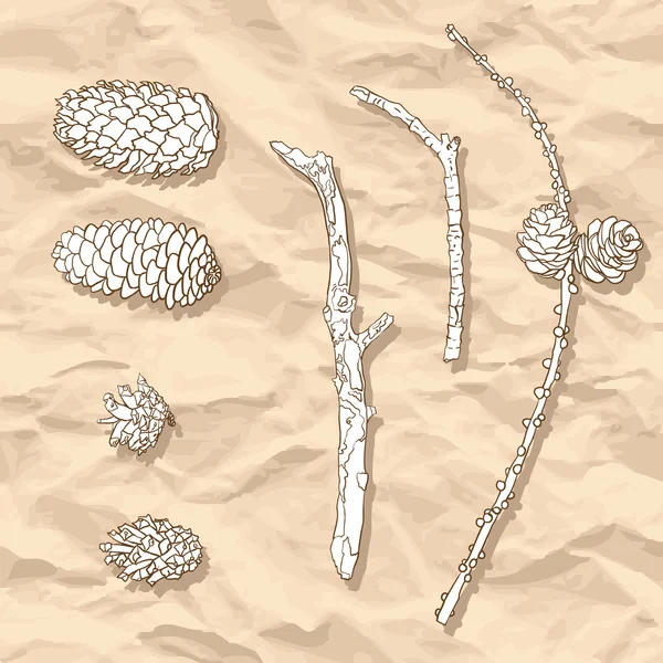 Ensemble de différents cônes et branches — Image vectorielle