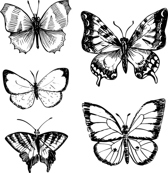 Conjunto de borboletas vintage — Vetor de Stock
