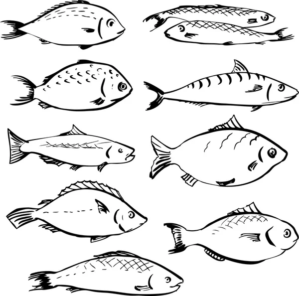 Set of linear drawing fishes — Stock Vector