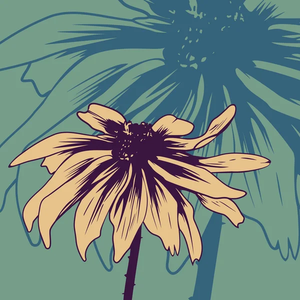 Cartão floral vintage com camomila — Vetor de Stock
