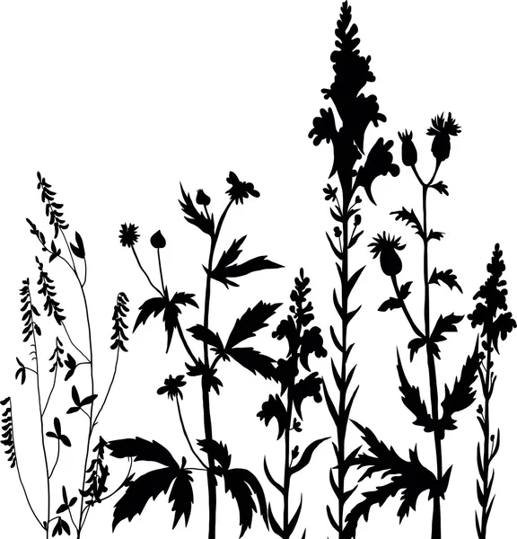 Silhouettes de fleurs et d'herbe — Image vectorielle