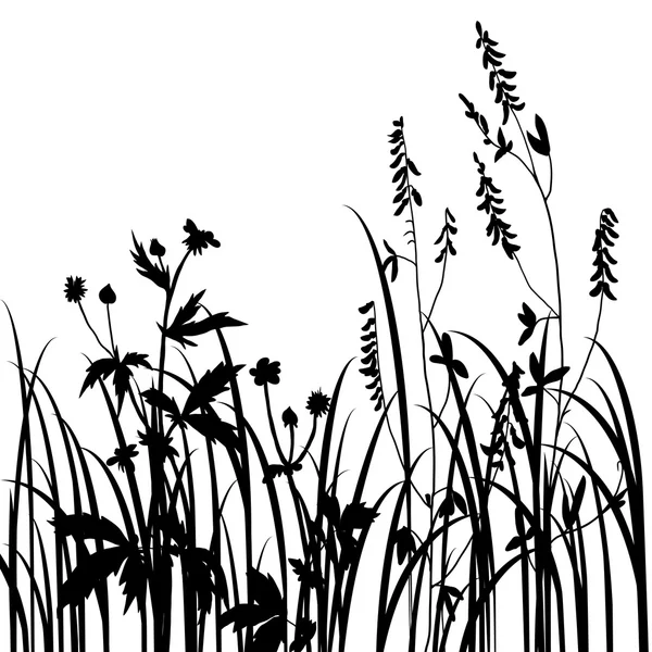 花や草のシルエット — ストックベクタ