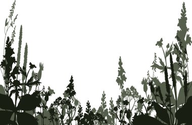 çiçek ve çim Silhouettes