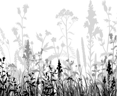 Silhouettes of flowers and grass clipart