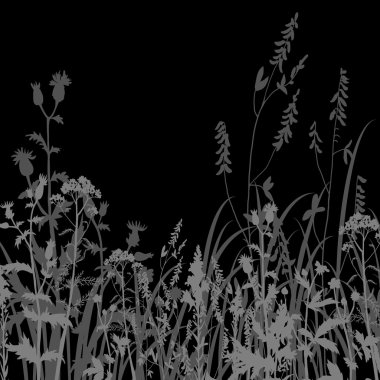 çiçek ve çim gece Silhouettes