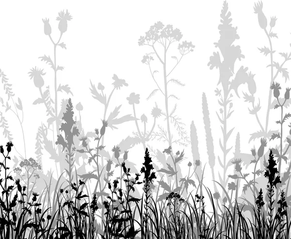 Silhouetten von Blumen und Gras — Stockvektor