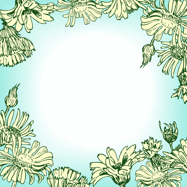 Cadre floral avec camomilles — Image vectorielle