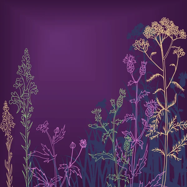 Květiny a trávy v noci — Stockový vektor