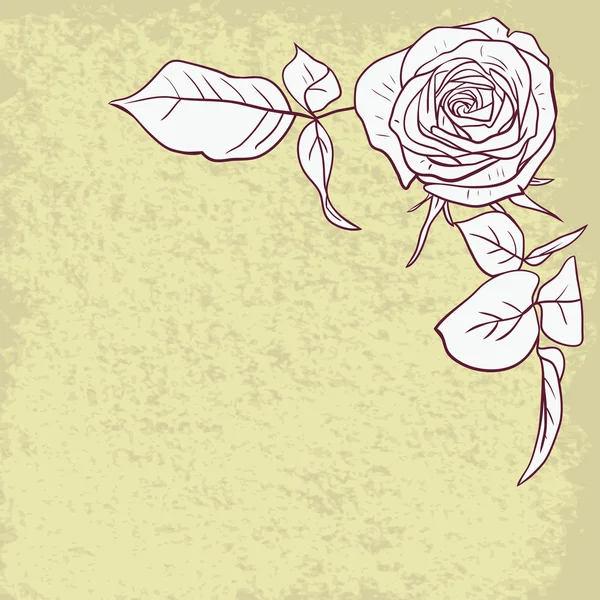 Floral πλαίσιο με τριαντάφυλλα — Διανυσματικό Αρχείο