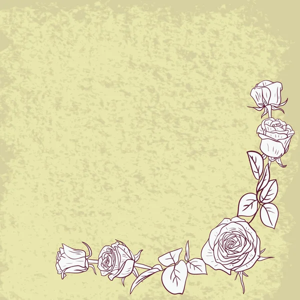 Cadre floral avec des roses — Image vectorielle