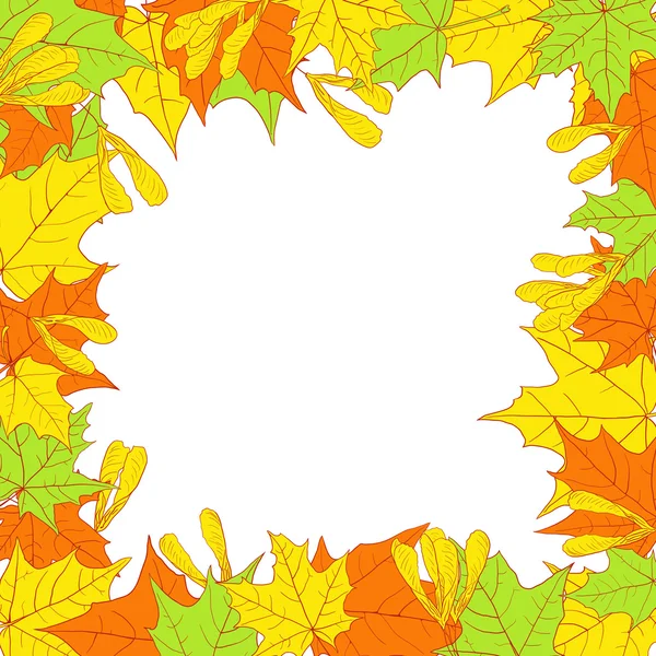 Floral frame with leaves of maple — Stock Vector